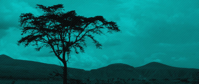 39TreeViewPerformancePart1